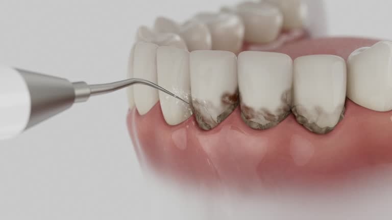 Reliable Dental contractor in Camp Point, IL by Dentist Open Now